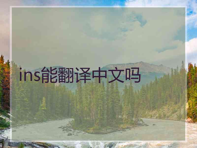ins能翻译中文吗 ins能翻译中文吗