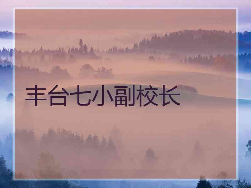 丰台七小副校长 丰台七小副校长