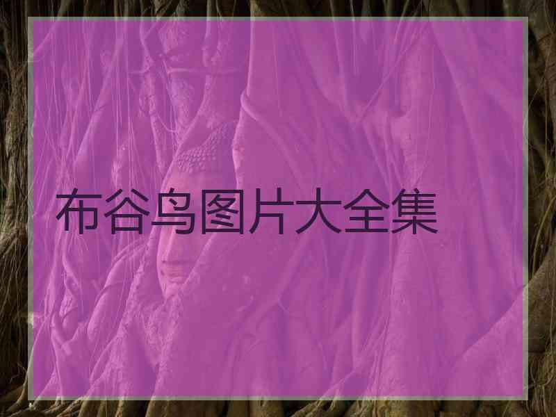 布谷鸟图片大全集 布谷鸟图片大全集