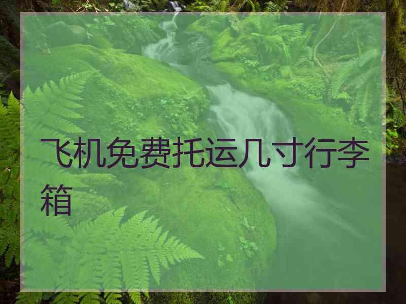 飞机免费托运几寸行李箱 飞机免费托运几寸行李箱