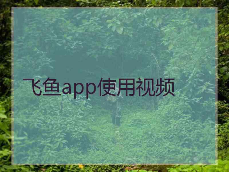 飞鱼app使用视频 飞鱼app使用视频
