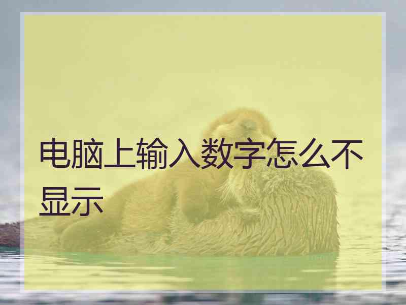 电脑上输入数字怎么不显示 电脑上输入数字怎么不显示
