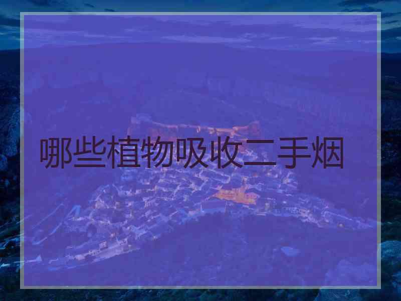 哪些植物吸收二手烟 哪些植物吸收二手烟