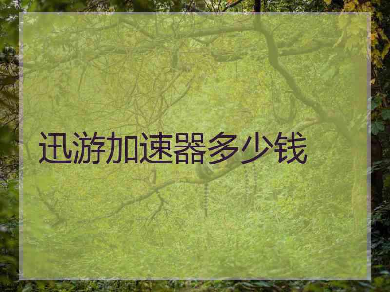 迅游加速器多少钱 迅游加速器多少钱