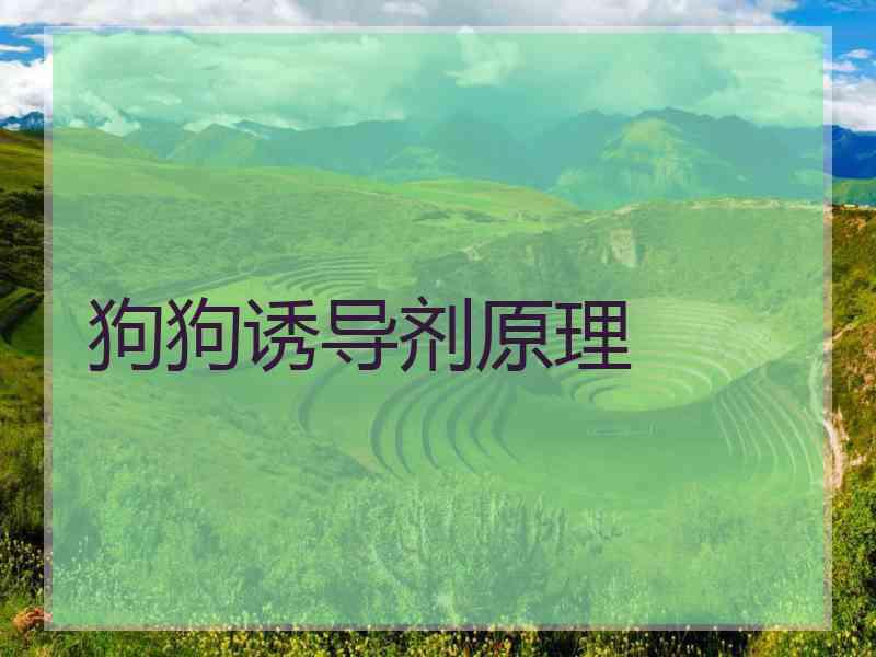 狗狗诱导剂原理 狗狗诱导剂原理