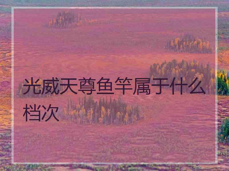 光威天尊鱼竿属于什么档次 光威天尊鱼竿属于什么档次