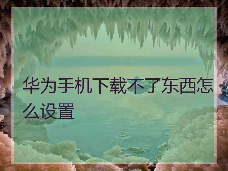 华为手机下载不了东西怎么设置 华为手机下载不了东西怎么设置