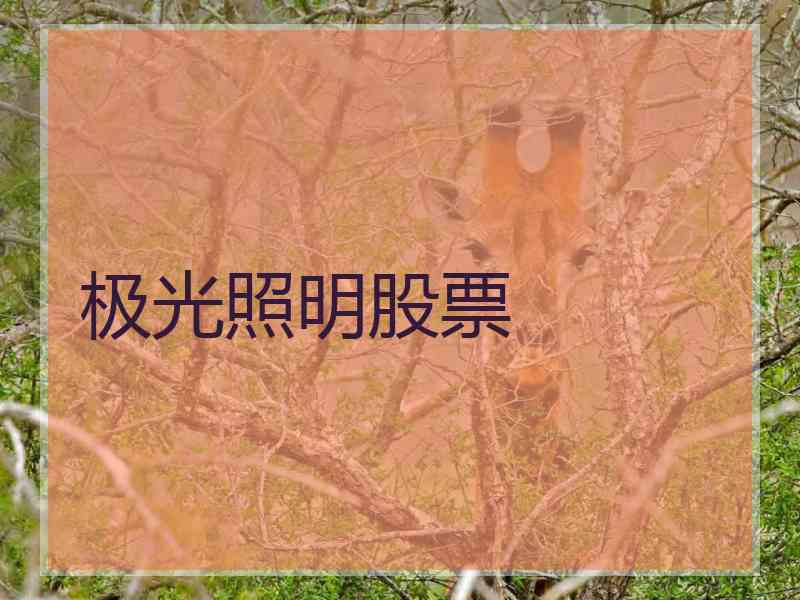 极光照明股票 极光照明股票