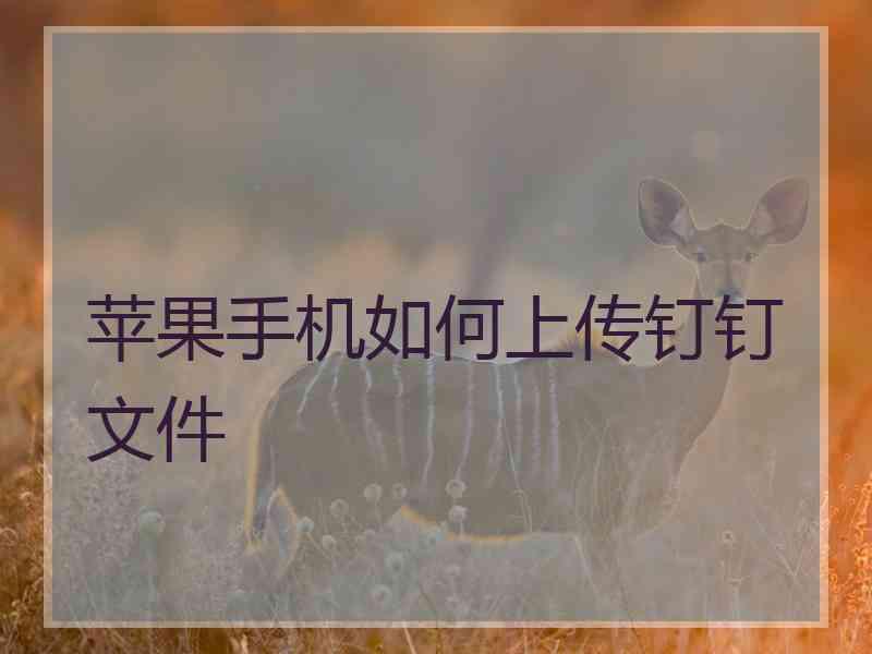 苹果手机如何上传钉钉文件 苹果手机如何上传钉钉文件