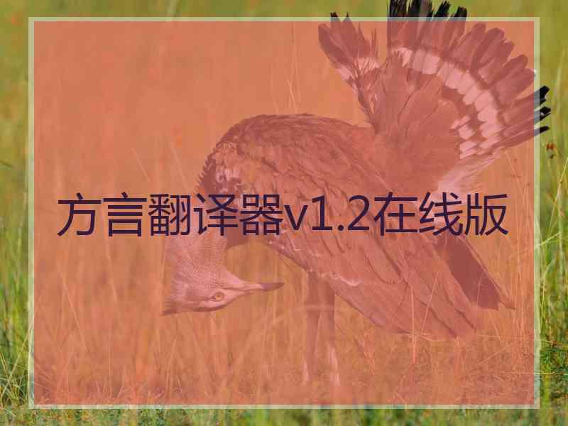 方言翻译器v1.2在线版 方言翻译器v1.2在线版