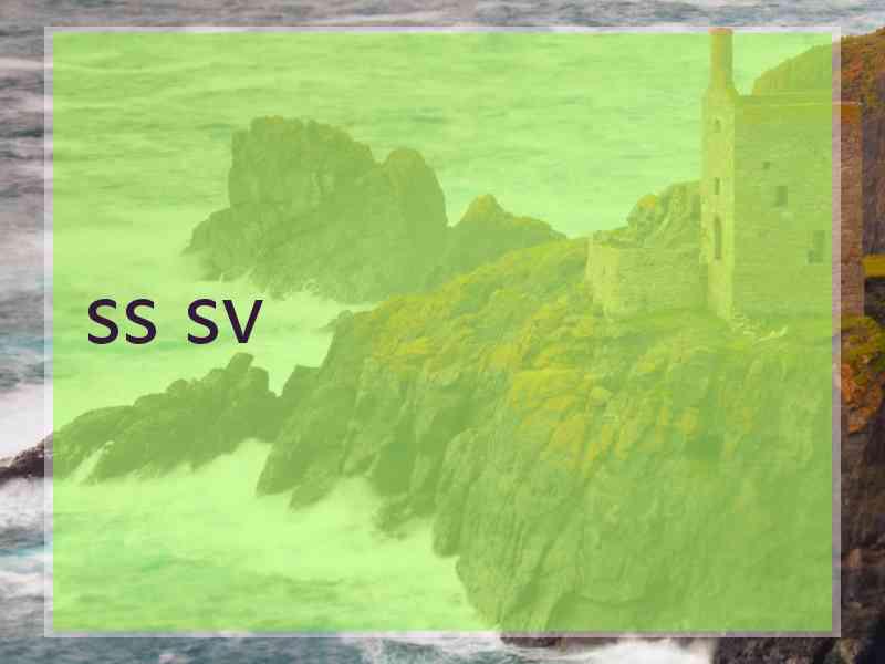 ss sv ss sv