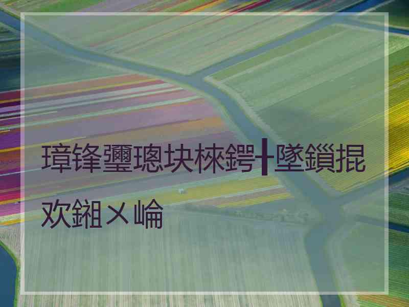 璋锋瓕璁块棶鍔╂墜鎻掍欢鎺ㄨ崘 璋锋瓕璁块棶鍔╂墜鎻掍欢鎺ㄨ崘