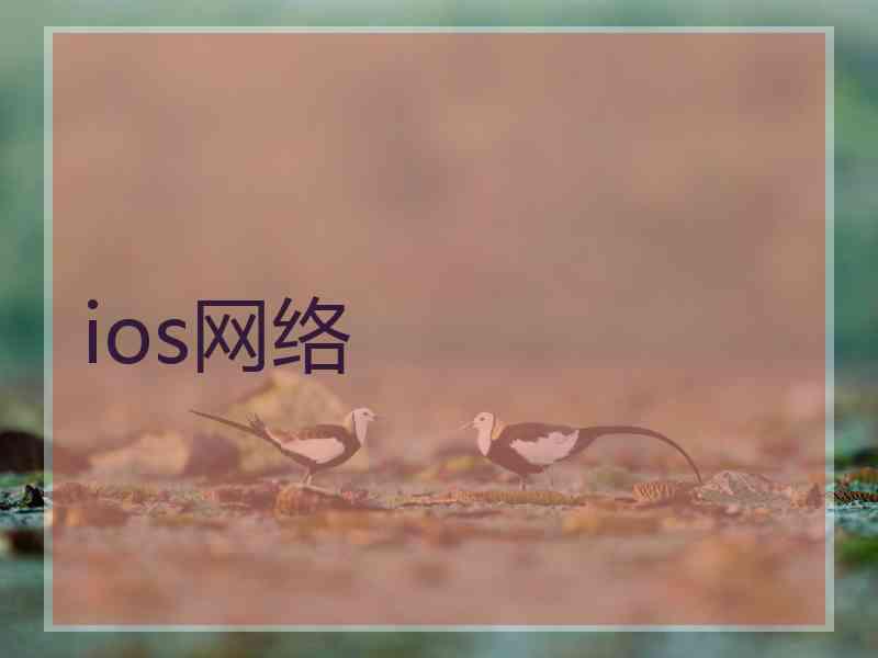 ios网络 ios网络