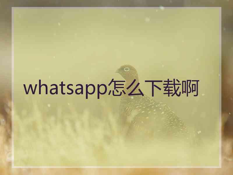 whatsapp怎么下载啊 whatsapp怎么下载啊