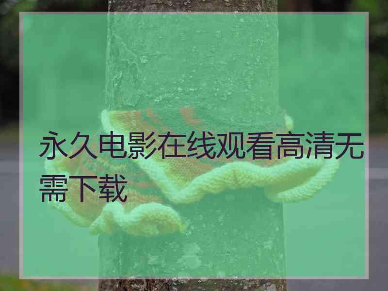 永久电影在线观看高清无需下载 永久电影在线观看高清无需下载