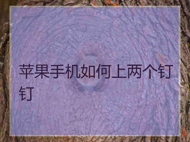 苹果手机如何上两个钉钉 苹果手机如何上两个钉钉