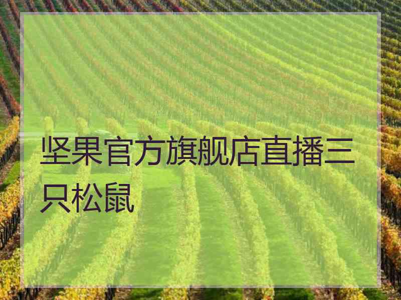 坚果官方旗舰店直播三只松鼠 坚果官方旗舰店直播三只松鼠