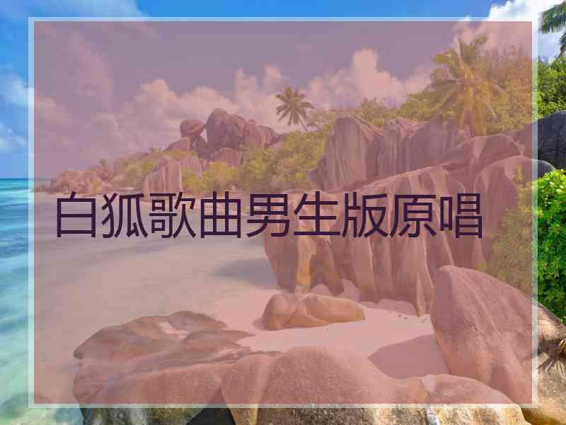 白狐歌曲男生版原唱 白狐歌曲男生版原唱