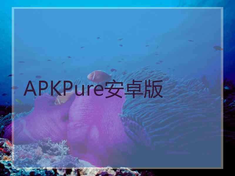 APKPure安卓版 APKPure安卓版