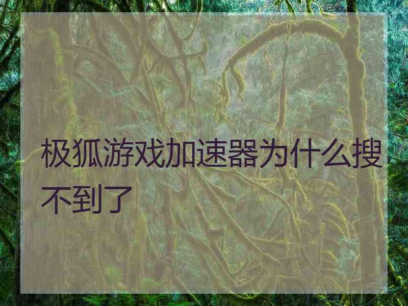 极狐游戏加速器为什么搜不到了 极狐游戏加速器为什么搜不到了
