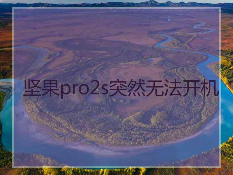 坚果pro2s突然无法开机 坚果pro2s突然无法开机