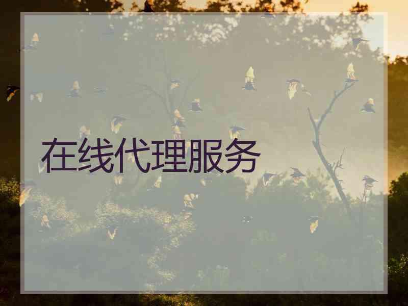 在线代理服务 在线代理服务