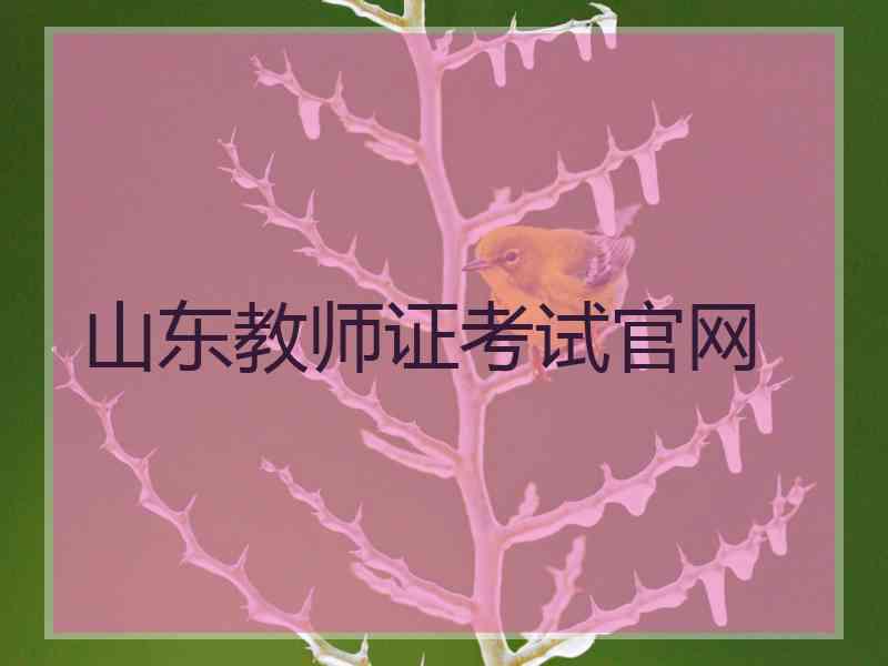 山东教师证考试官网 山东教师证考试官网
