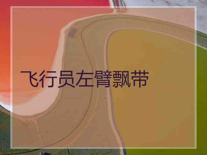 飞行员左臂飘带 飞行员左臂飘带