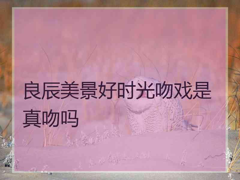 良辰美景好时光吻戏是真吻吗 良辰美景好时光吻戏是真吻吗