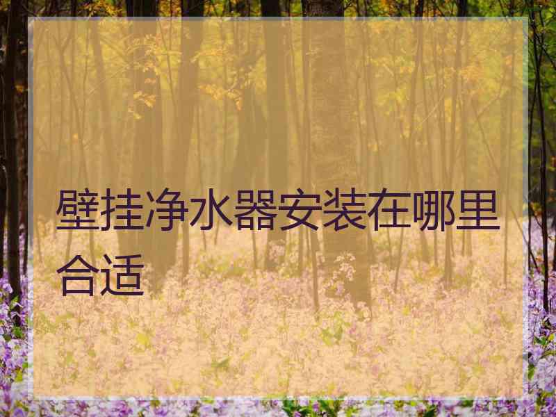 壁挂净水器安装在哪里合适 壁挂净水器安装在哪里合适