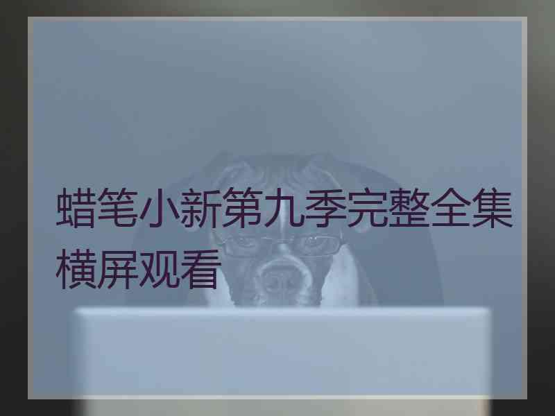 蜡笔小新第九季完整全集横屏观看 蜡笔小新第九季完整全集横屏观看