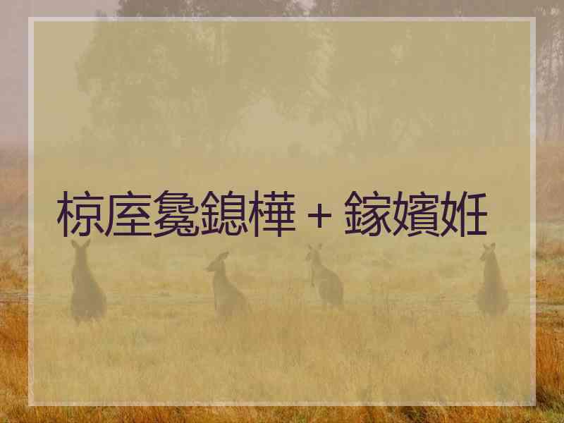 椋庢毚鎴樺+鎵嬪姙 椋庢毚鎴樺+鎵嬪姙