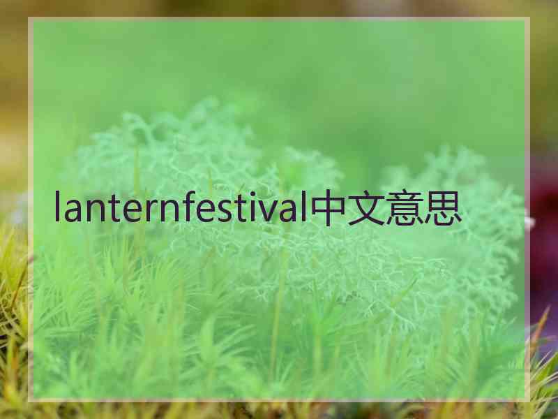lanternfestival中文意思 lanternfestival中文意思