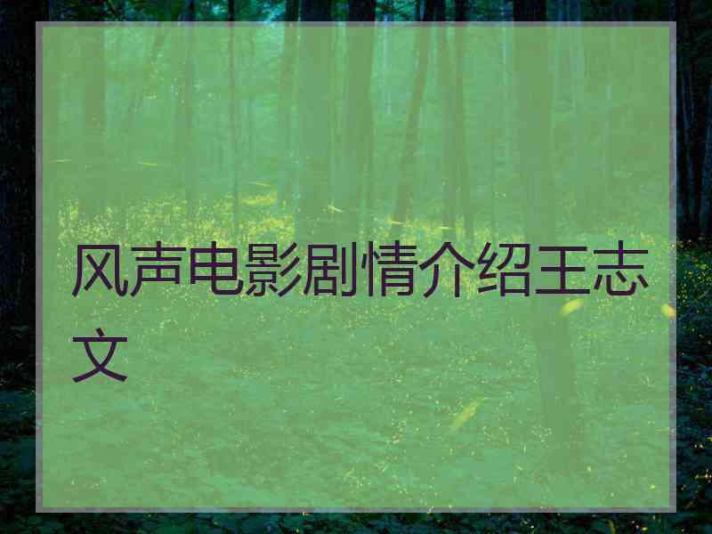 风声电影剧情介绍王志文 风声电影剧情介绍王志文