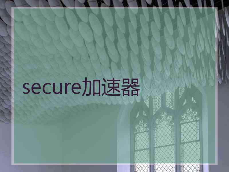 secure加速器 secure加速器