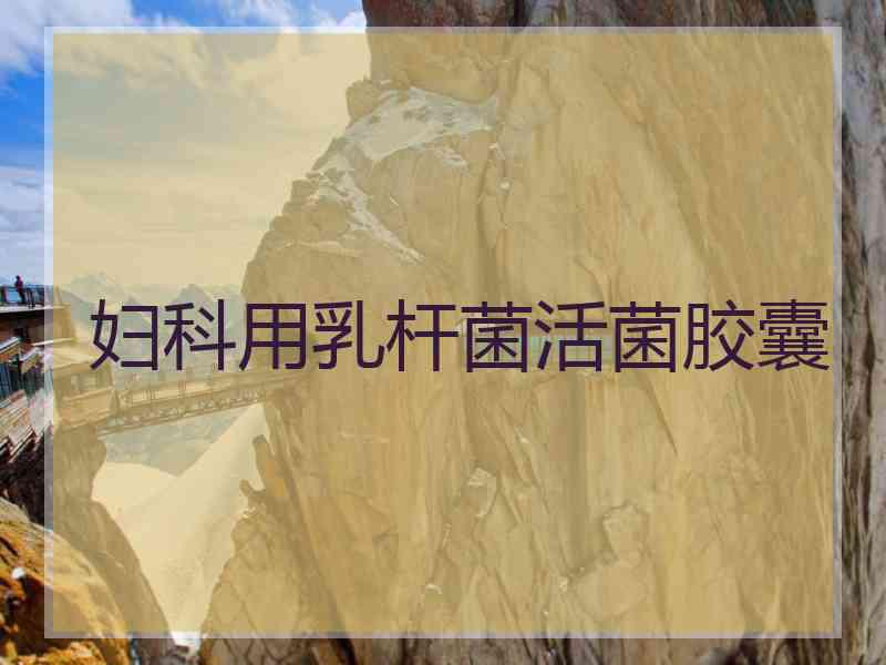 妇科用乳杆菌活菌胶囊 妇科用乳杆菌活菌胶囊