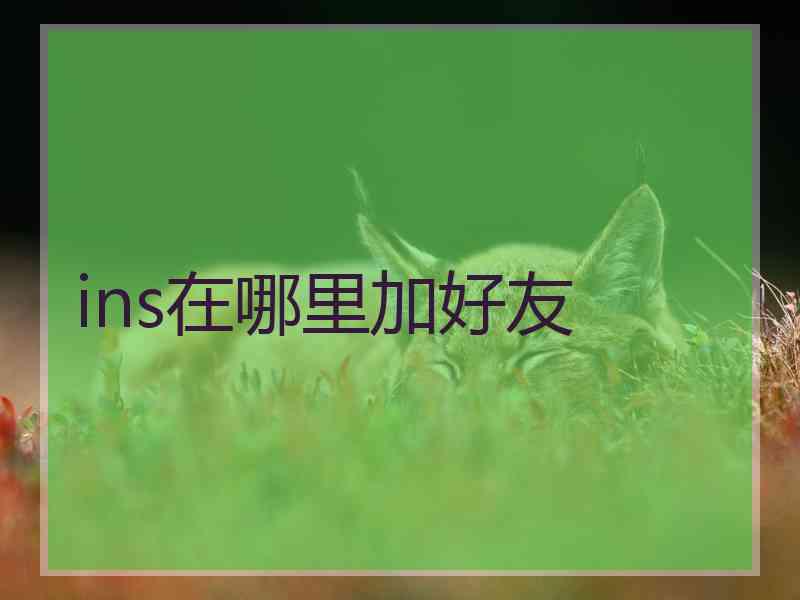 ins在哪里加好友 ins在哪里加好友