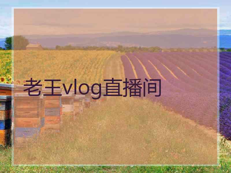 老王vlog直播间 老王vlog直播间