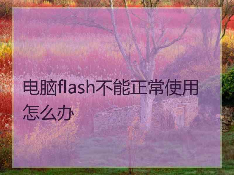 电脑flash不能正常使用怎么办 电脑flash不能正常使用怎么办