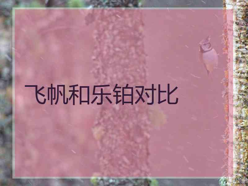 飞帆和乐铂对比 飞帆和乐铂对比