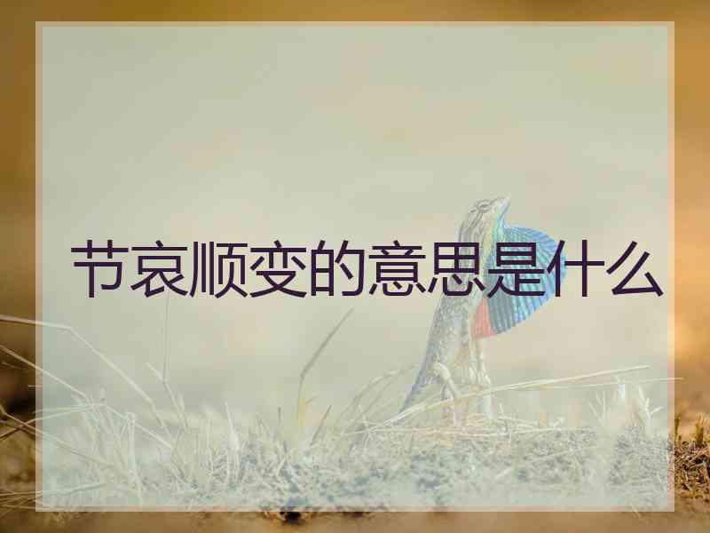 节哀顺变的意思是什么 节哀顺变的意思是什么