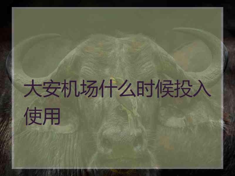 大安机场什么时候投入使用 大安机场什么时候投入使用