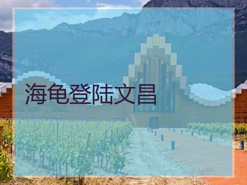海龟登陆文昌 海龟登陆文昌