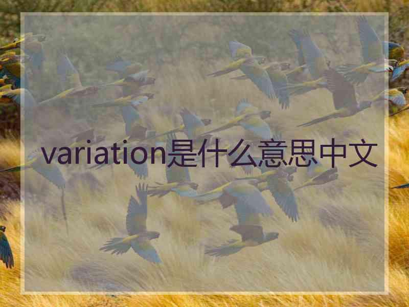 variation是什么意思中文