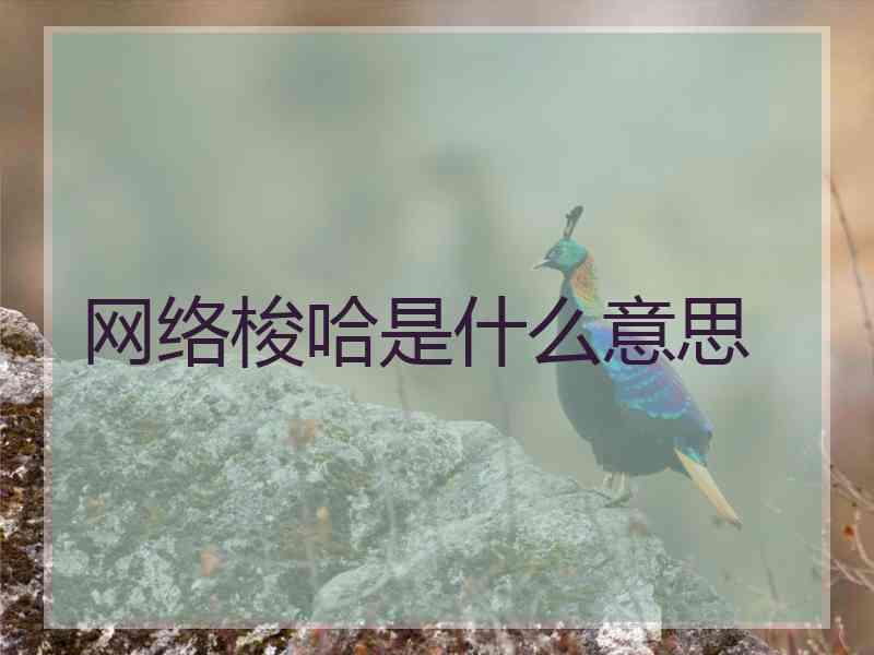 网络梭哈是什么意思 网络梭哈是什么意思