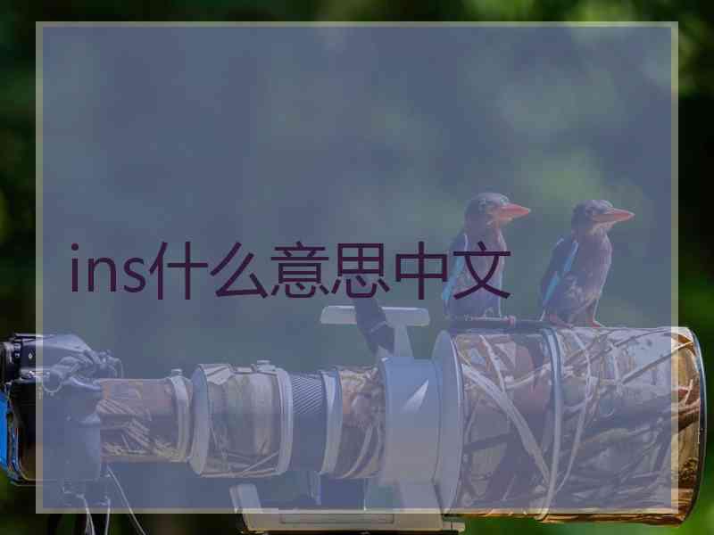 ins什么意思中文 ins什么意思中文