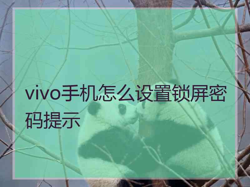 vivo手机怎么设置锁屏密码提示 vivo手机怎么设置锁屏密码提示