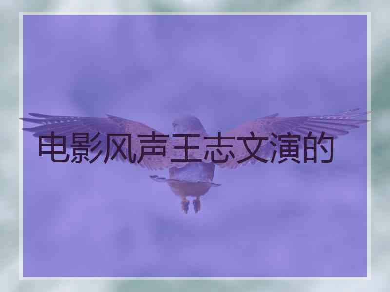 电影风声王志文演的 电影风声王志文演的