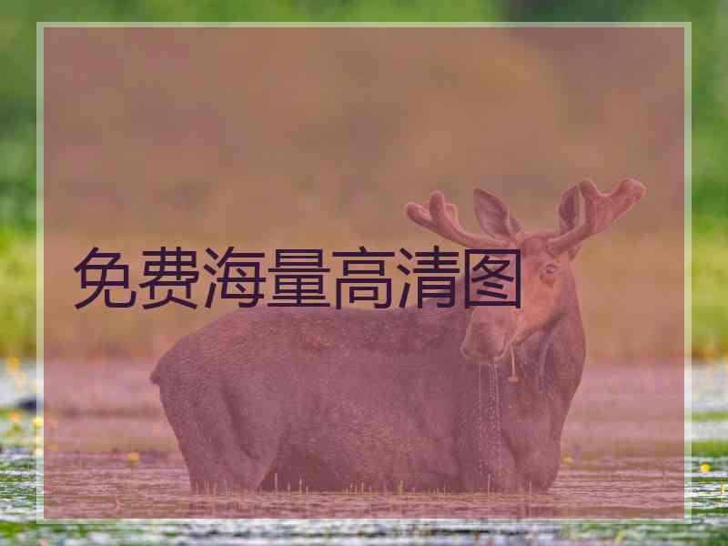 免费海量高清图 免费海量高清图