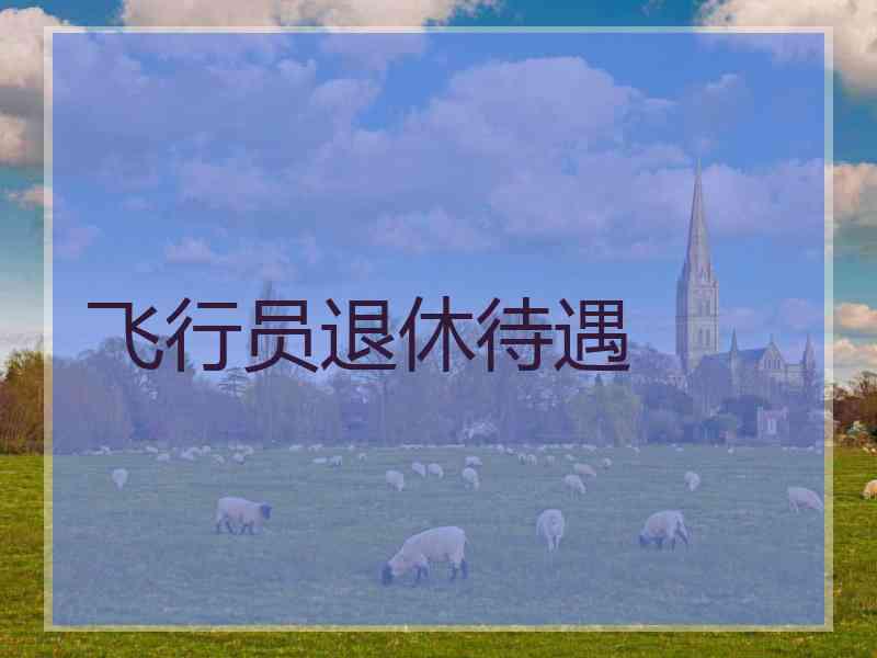 飞行员退休待遇 飞行员退休待遇